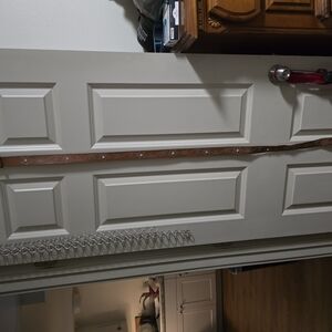 TORRID Brown Leather Belt with Silver Accents